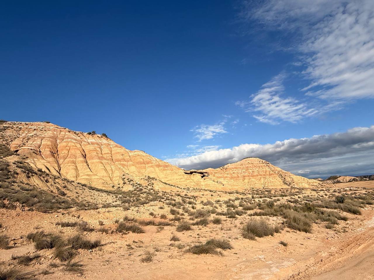 Meseta de las Bardenas Reales